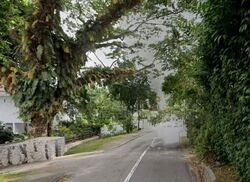 Turf Club Road (D11), Detached #631102481